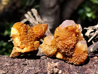 Natural Golden Solar Spirit Quartz Clusters x 12 From Boekenhouthoek, South Africa - Toprock Gemstones and Minerals 