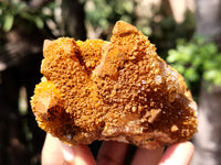 Natural Golden Solar Spirit Quartz Clusters x 12 From Boekenhouthoek, South Africa - Toprock Gemstones and Minerals 