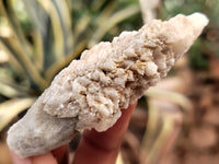 Natural Drusy Quartz Coated Calcite Pseudomorph Specimens x 35 From Alberts Mountain, Lesotho - Toprock Gemstones and Minerals 