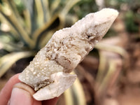 Natural Drusy Quartz Coated Calcite Pseudomorph Specimens x 35 From Alberts Mountain, Lesotho - Toprock Gemstones and Minerals 