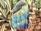 Polished Labradorite Standing Free Forms x 2 From Tulear, Madagascar - Toprock Gemstones and Minerals 