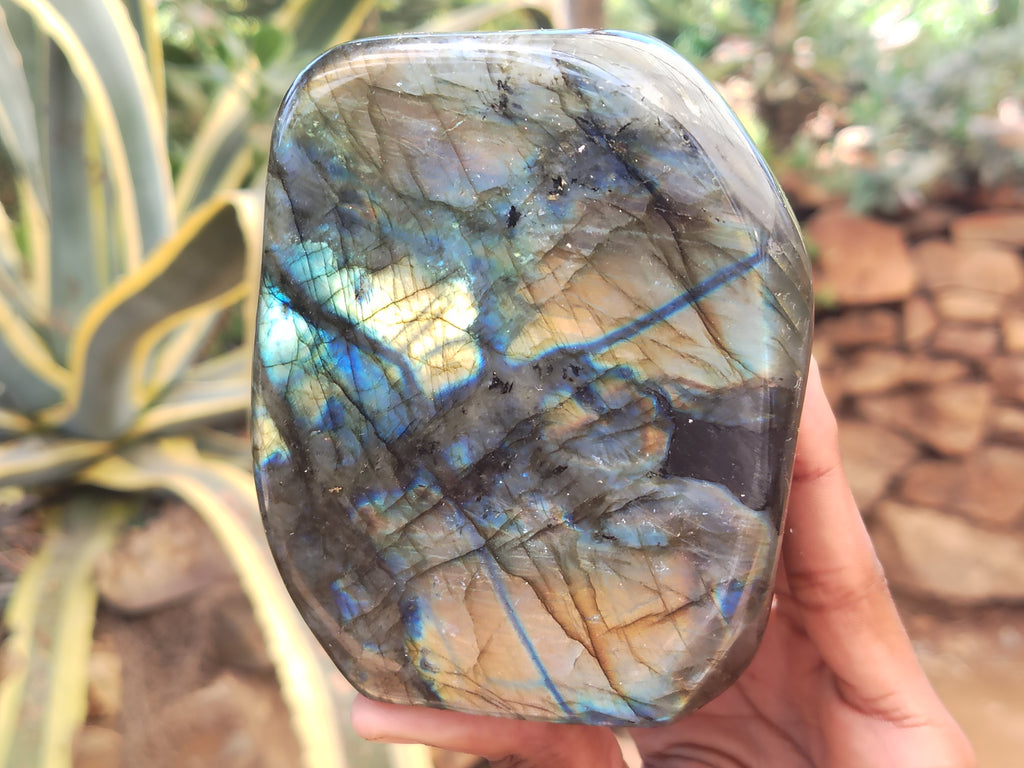 Polished Labradorite Standing Free Forms x 2 From Tulear, Madagascar - Toprock Gemstones and Minerals 