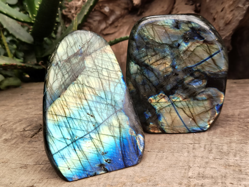 Polished Labradorite Standing Free Forms x 2 From Tulear, Madagascar - Toprock Gemstones and Minerals 