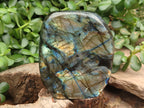Polished Labradorite Standing Free Forms x 2 From Tulear, Madagascar - Toprock Gemstones and Minerals 