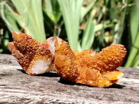 Natural Golden Solar Spirit Quartz Clusters x 20 From Boekenhouthoek, South Africa - Toprock Gemstones and Minerals 