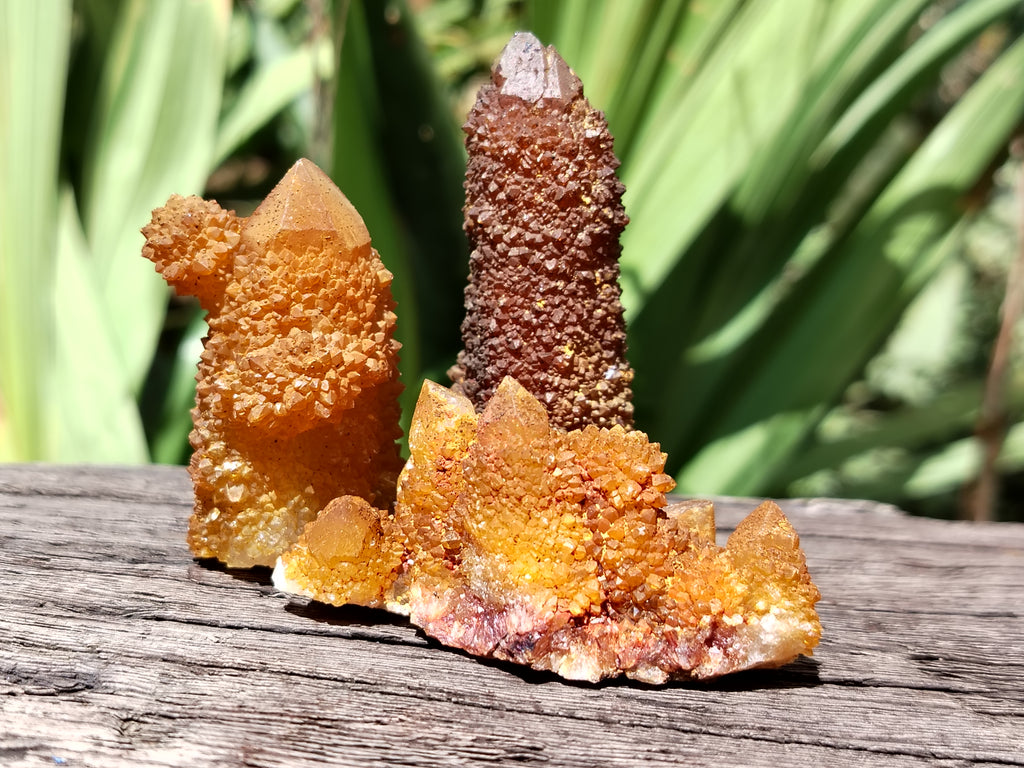 Natural Golden Solar Spirit Quartz Clusters x 20 From Boekenhouthoek, South Africa - Toprock Gemstones and Minerals 