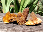 Natural Golden Solar Spirit Quartz Clusters x 20 From Boekenhouthoek, South Africa - Toprock Gemstones and Minerals 