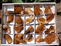 Natural Golden Solar Spirit Quartz Clusters x 20 From Boekenhouthoek, South Africa - Toprock Gemstones and Minerals 