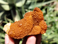 Natural Golden Solar Spirit Quartz Clusters x 20 From Boekenhouthoek, South Africa - Toprock Gemstones and Minerals 