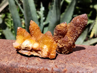 Natural Golden Solar Spirit Quartz Clusters x 20 From Boekenhouthoek, South Africa - Toprock Gemstones and Minerals 