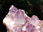 Natural Jacaranda Amethyst Quartz Clusters x 2 From Mumbwa, Zambia - Toprock Gemstones and Minerals 