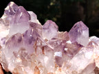 Natural Jacaranda Amethyst Quartz Clusters x 2 From Mumbwa, Zambia - Toprock Gemstones and Minerals 