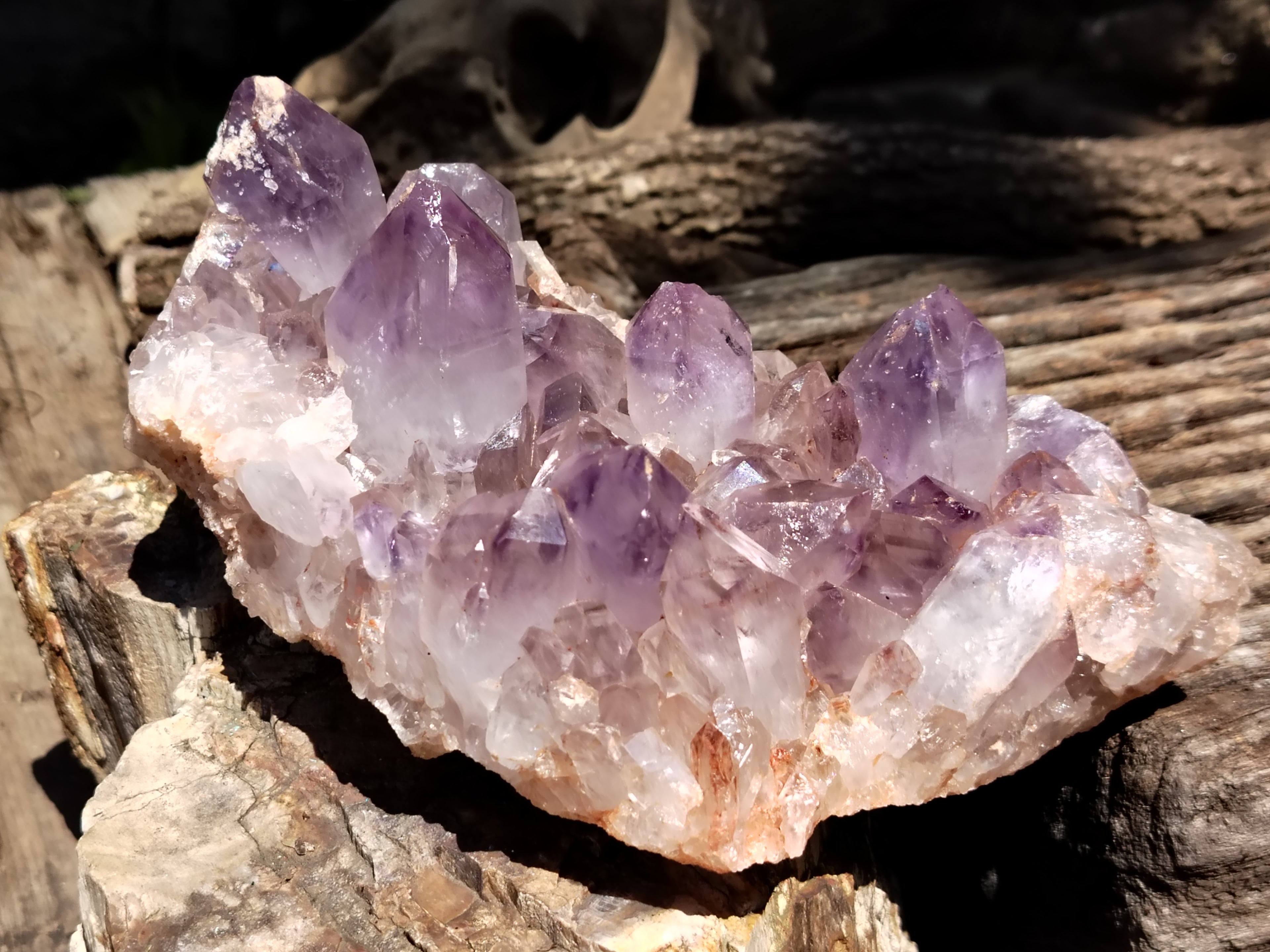 Natural Jacaranda Amethyst Quartz Clusters x 2 From Mumbwa, Zambia - Toprock Gemstones and Minerals 