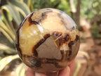 Polished Septerye Spheres x 4 From Mahajanga, Madagascar - Toprock Gemstones and Minerals 