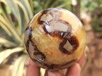 Polished Septerye Spheres x 4 From Mahajanga, Madagascar - Toprock Gemstones and Minerals 