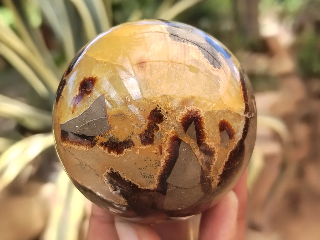 Polished Septerye Spheres x 4 From Mahajanga, Madagascar - Toprock Gemstones and Minerals 