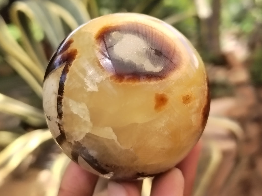 Polished Septerye Spheres x 4 From Mahajanga, Madagascar - Toprock Gemstones and Minerals 