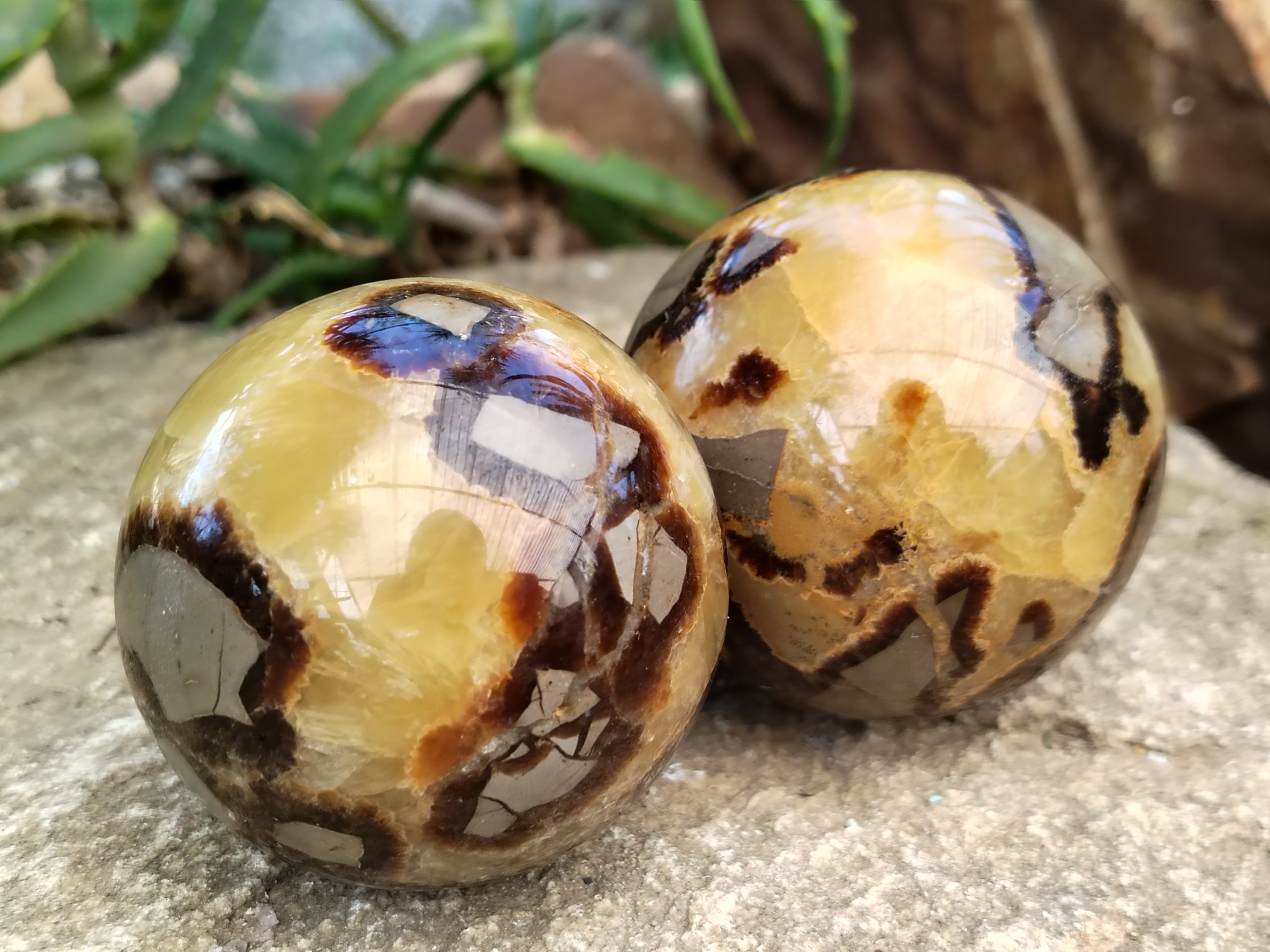 Polished Septerye Spheres x 4 From Mahajanga, Madagascar - Toprock Gemstones and Minerals 