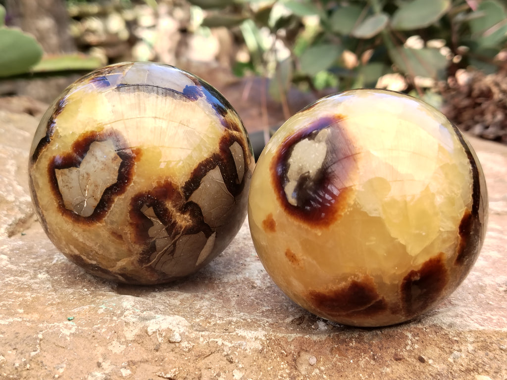 Polished Septerye Spheres x 4 From Mahajanga, Madagascar - Toprock Gemstones and Minerals 