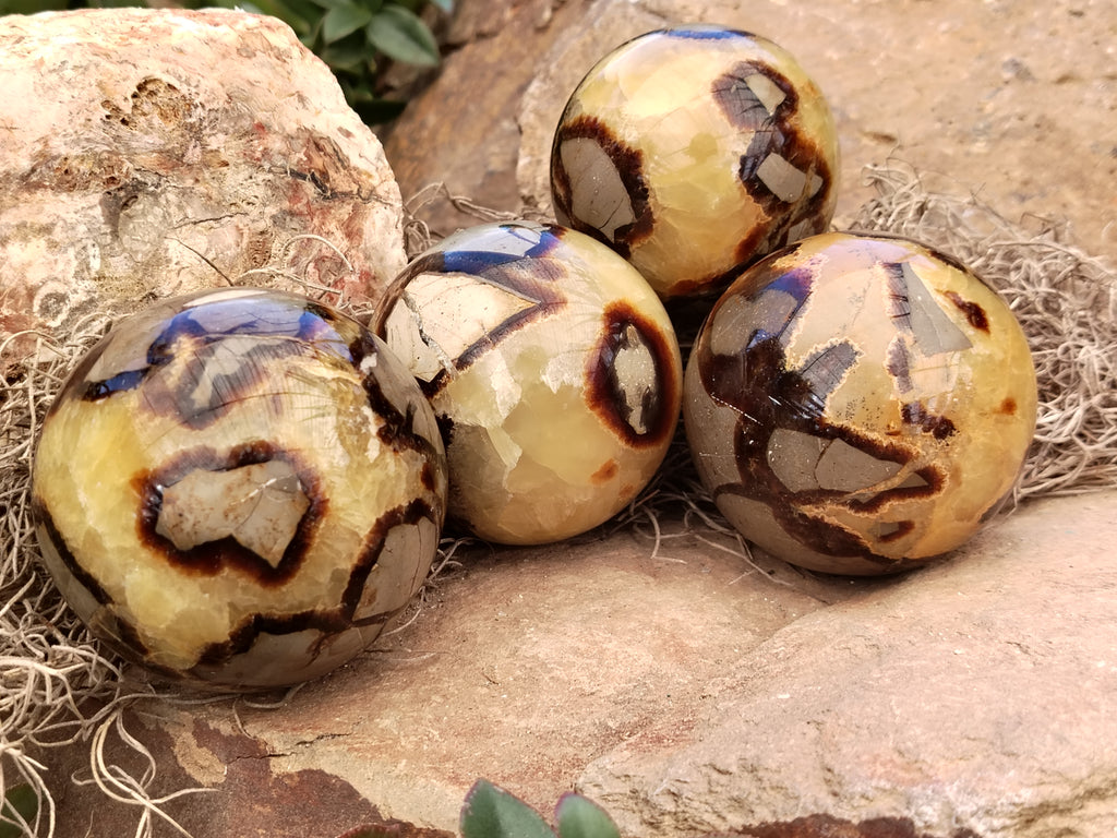 Polished Septerye Spheres x 4 From Mahajanga, Madagascar - Toprock Gemstones and Minerals 