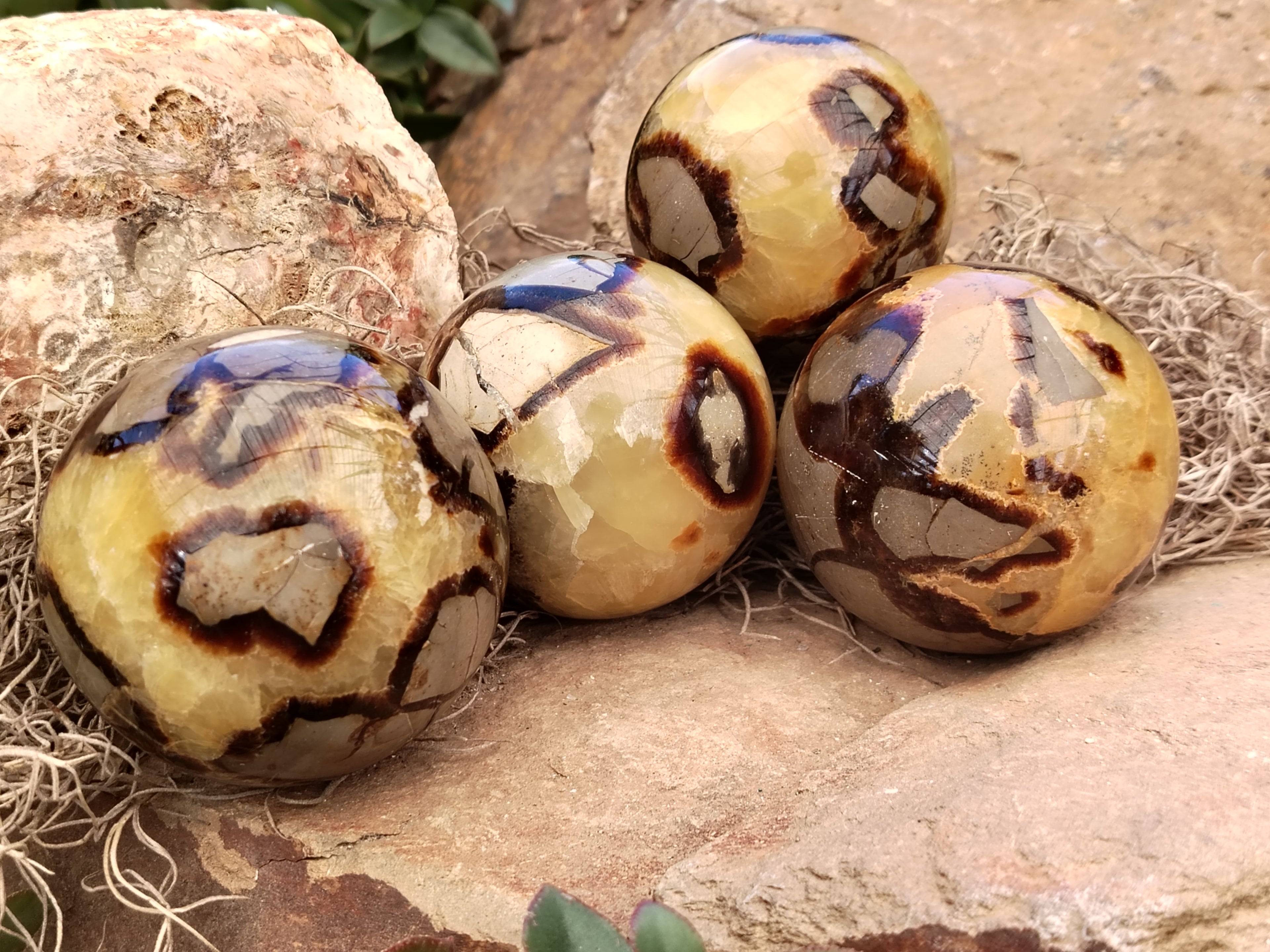 Polished Septerye Spheres x 4 From Mahajanga, Madagascar - Toprock Gemstones and Minerals 