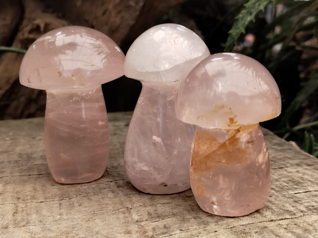 Polished Rose Quartz Mushrooms x 6 From Ambatondrazaka, Madagascar - Toprock Gemstones and Minerals 
