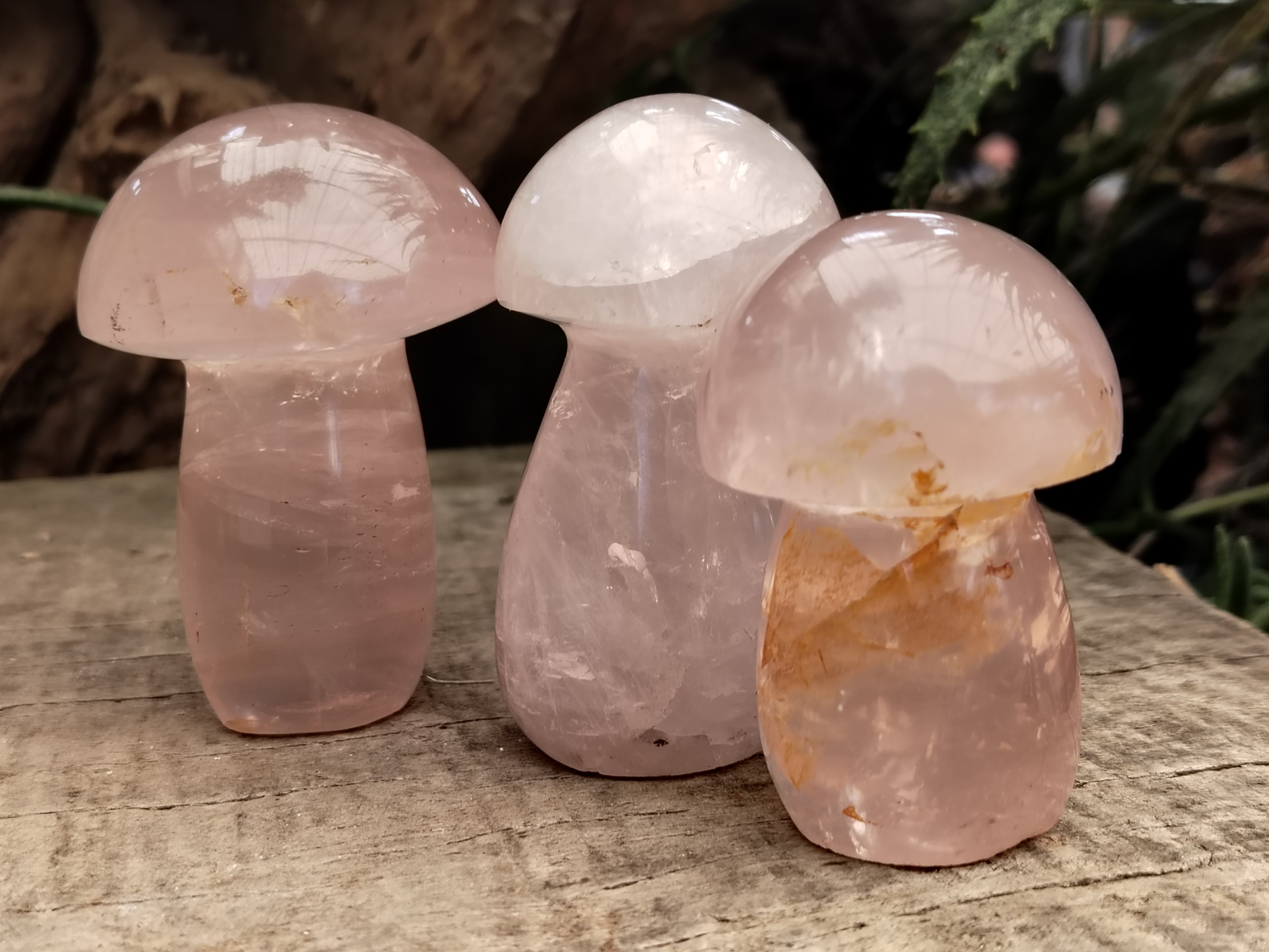 Polished Rose Quartz Mushrooms x 6 From Ambatondrazaka, Madagascar - Toprock Gemstones and Minerals 