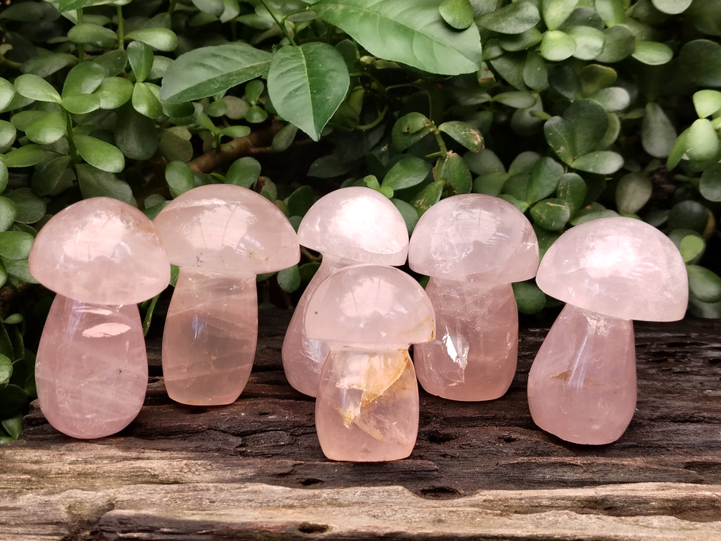 Polished Rose Quartz Mushrooms x 6 From Ambatondrazaka, Madagascar - Toprock Gemstones and Minerals 