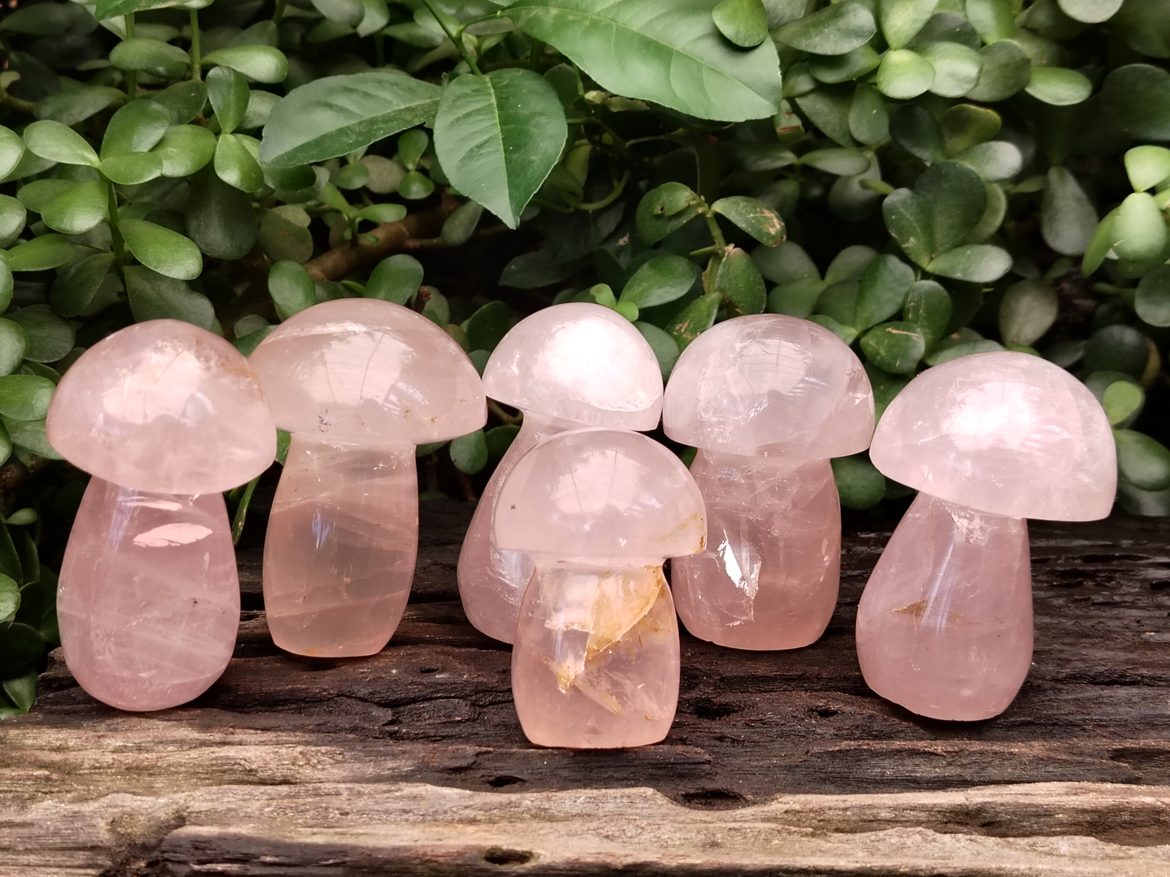 Polished Rose Quartz Mushrooms x 6 From Ambatondrazaka, Madagascar - Toprock Gemstones and Minerals 