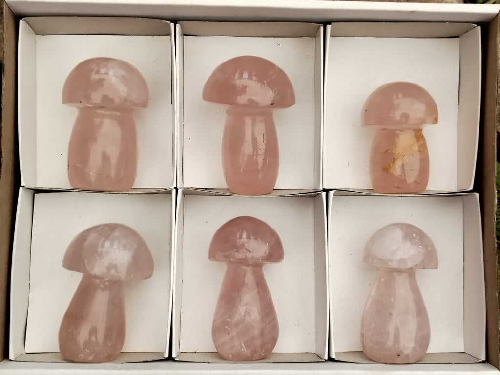 Polished Rose Quartz Mushrooms x 6 From Ambatondrazaka, Madagascar - Toprock Gemstones and Minerals 