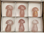 Polished Rose Quartz Mushrooms x 6 From Ambatondrazaka, Madagascar - Toprock Gemstones and Minerals 