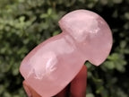 Polished Rose Quartz Mushrooms x 6 From Ambatondrazaka, Madagascar - Toprock Gemstones and Minerals 
