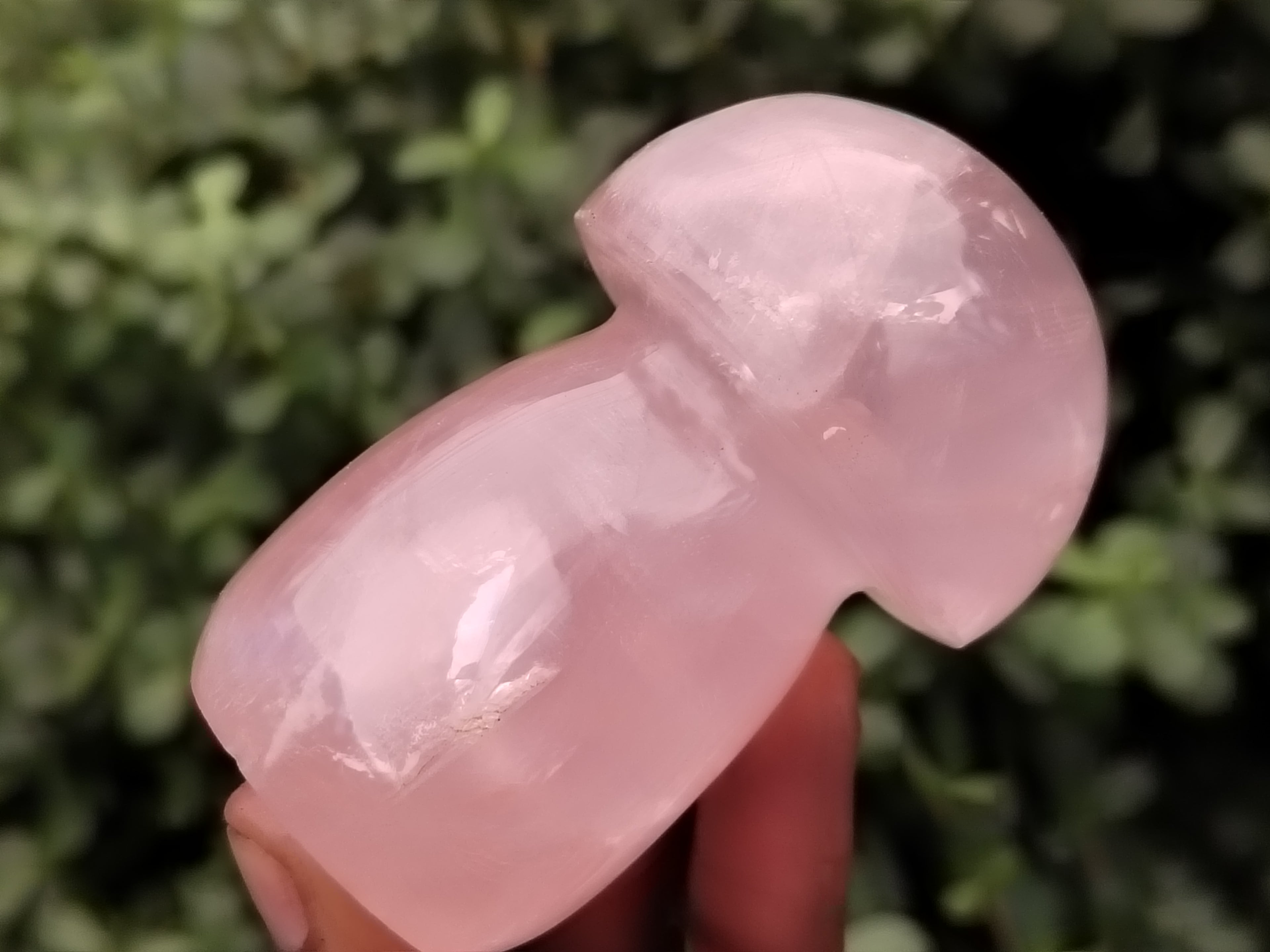 Polished Rose Quartz Mushrooms x 6 From Ambatondrazaka, Madagascar - Toprock Gemstones and Minerals 