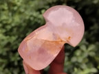 Polished Rose Quartz Mushrooms x 6 From Ambatondrazaka, Madagascar - Toprock Gemstones and Minerals 