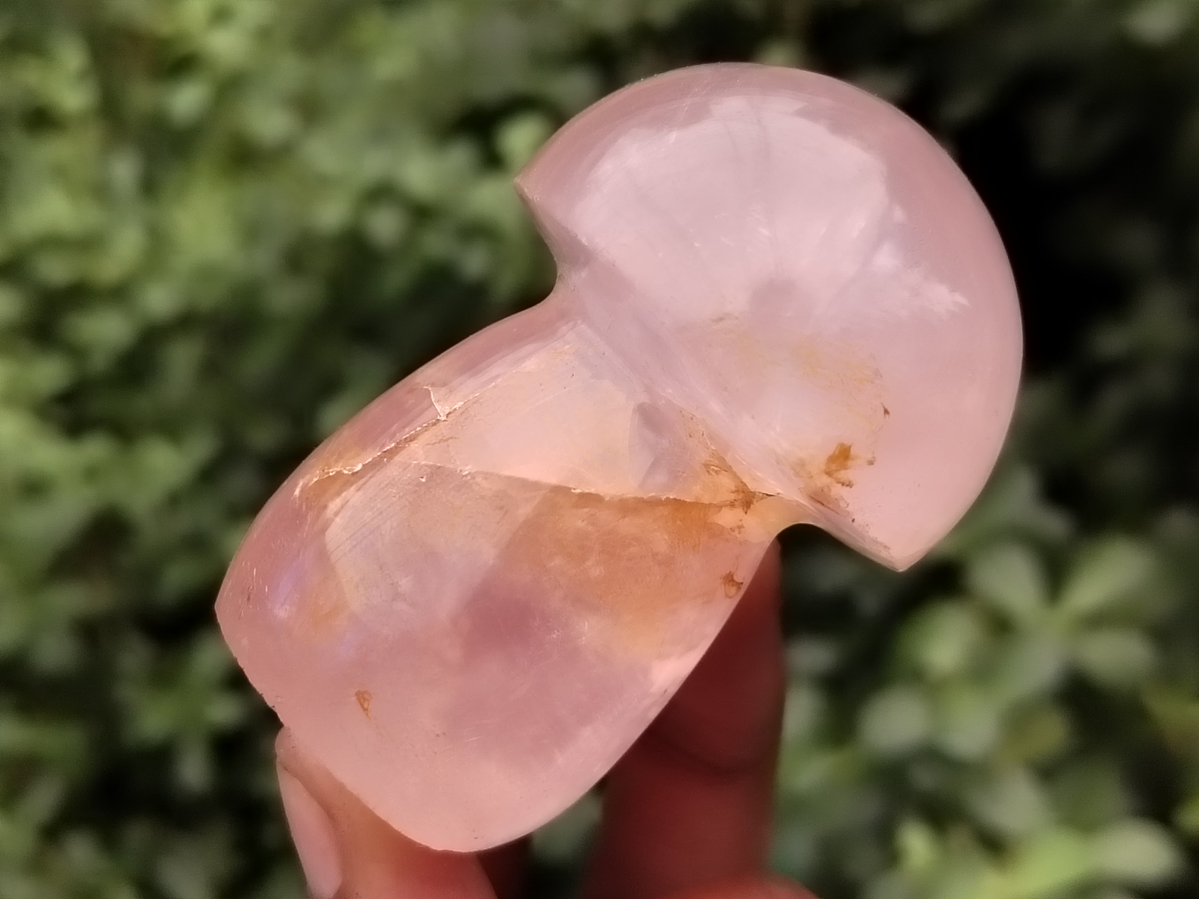 Polished Rose Quartz Mushrooms x 6 From Ambatondrazaka, Madagascar - Toprock Gemstones and Minerals 