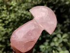 Polished Rose Quartz Mushrooms x 6 From Ambatondrazaka, Madagascar - Toprock Gemstones and Minerals 