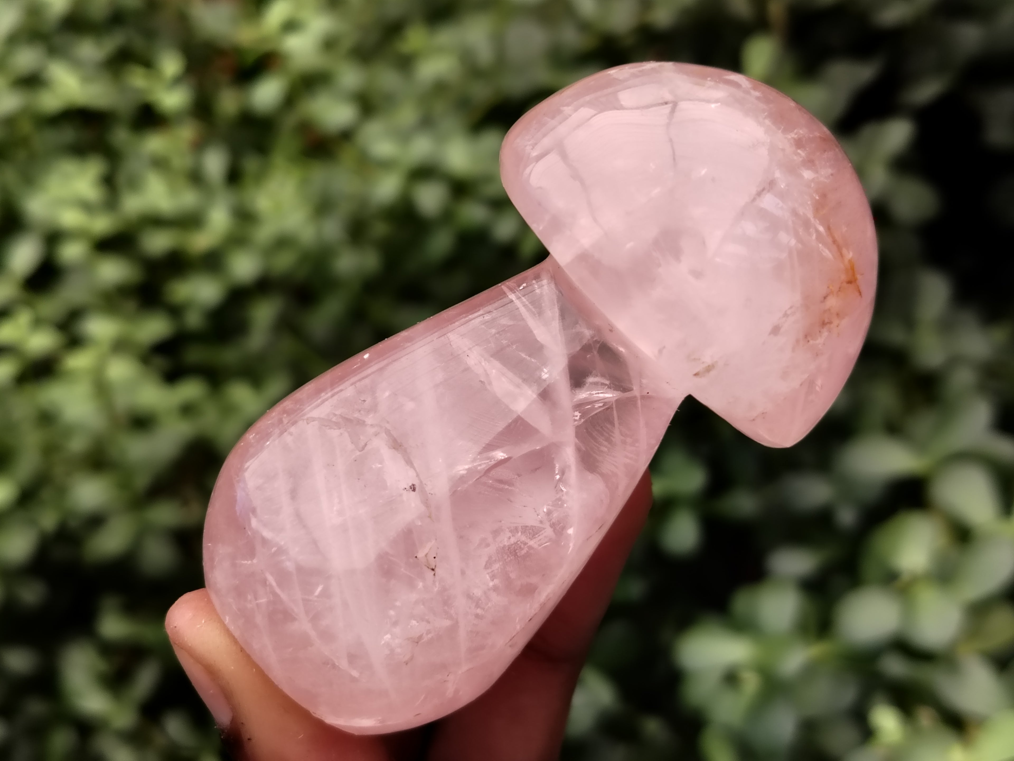 Polished Rose Quartz Mushrooms x 6 From Ambatondrazaka, Madagascar - Toprock Gemstones and Minerals 