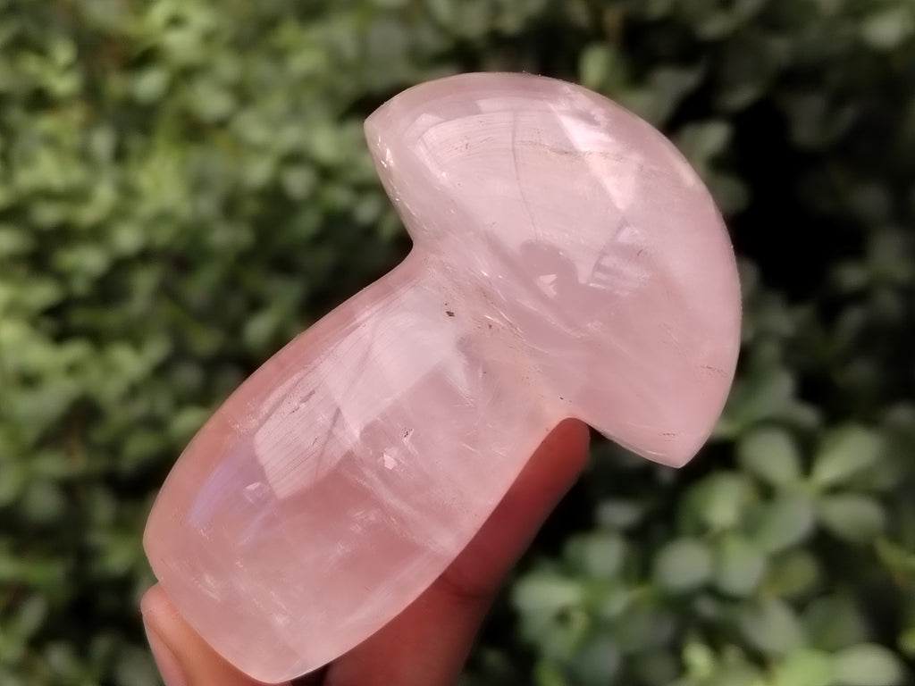 Polished Rose Quartz Mushrooms x 6 From Ambatondrazaka, Madagascar - Toprock Gemstones and Minerals 