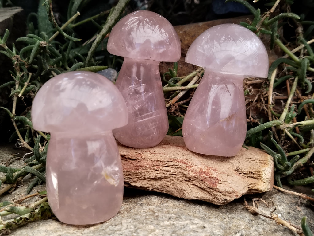 Polished Rose Quartz Mushrooms x 6 From Ambatondrazaka, Madagascar - Toprock Gemstones and Minerals 