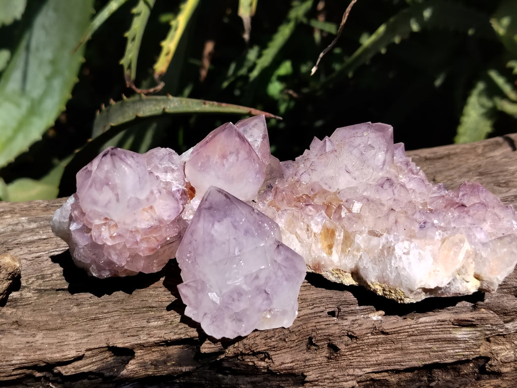 Natural Amethyst Spirit Quartz Clusters x 12 From Boekenhouthoek, South Africa - Toprock Gemstones and Minerals 