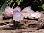 Natural Amethyst Spirit Quartz Clusters x 12 From Boekenhouthoek, South Africa - Toprock Gemstones and Minerals 