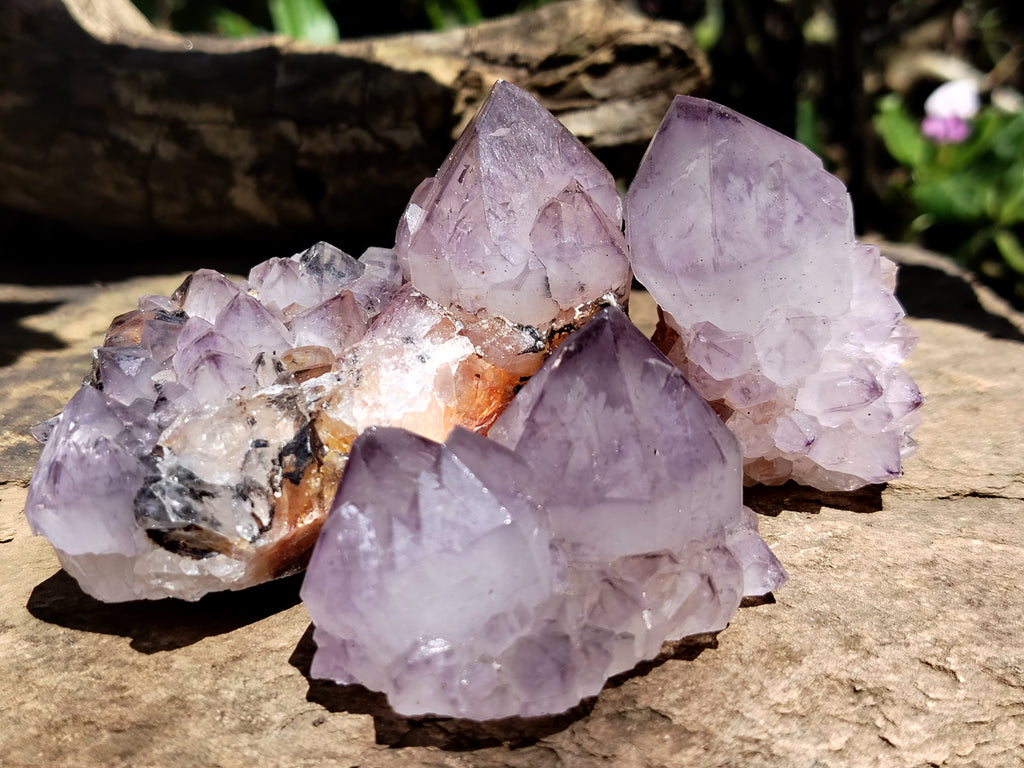 Natural Amethyst Spirit Quartz Clusters x 12 From Boekenhouthoek, South Africa - Toprock Gemstones and Minerals 