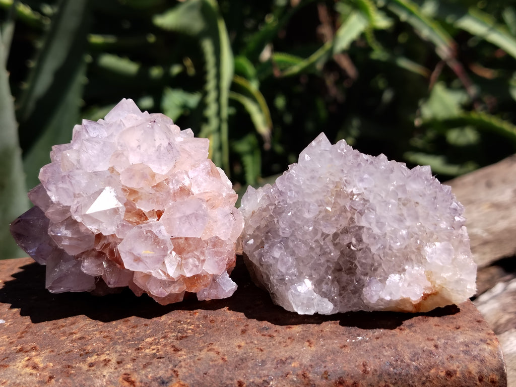 Natural Amethyst Spirit Quartz Clusters x 12 From Boekenhouthoek, South Africa - Toprock Gemstones and Minerals 
