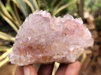 Natural Amethyst Spirit Quartz Clusters x 12 From Boekenhouthoek, South Africa - Toprock Gemstones and Minerals 