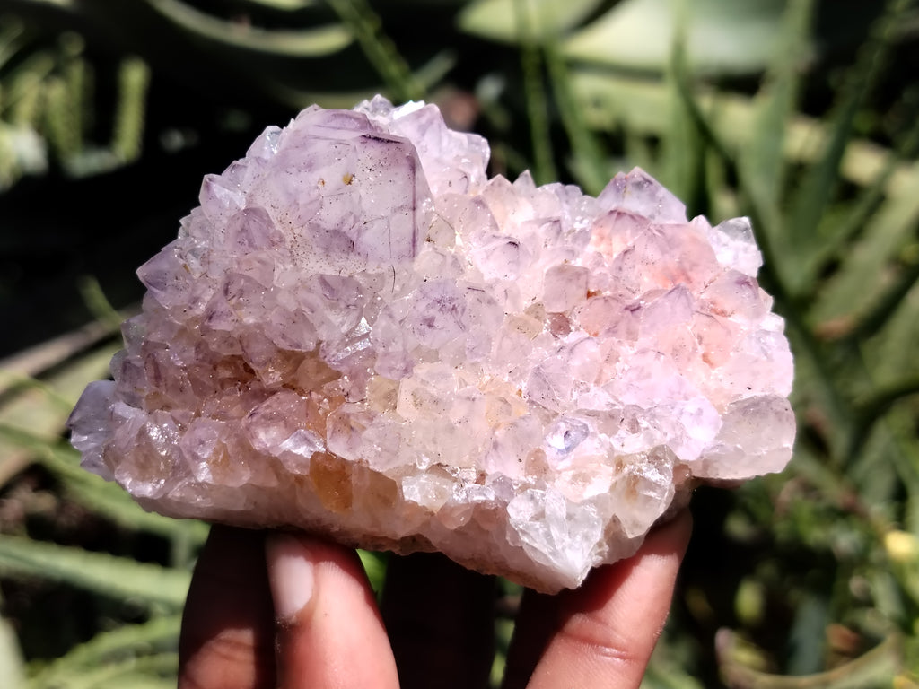 Natural Amethyst Spirit Quartz Clusters x 12 From Boekenhouthoek, South Africa - Toprock Gemstones and Minerals 