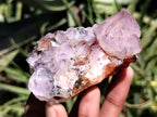 Natural Amethyst Spirit Quartz Clusters x 12 From Boekenhouthoek, South Africa - Toprock Gemstones and Minerals 