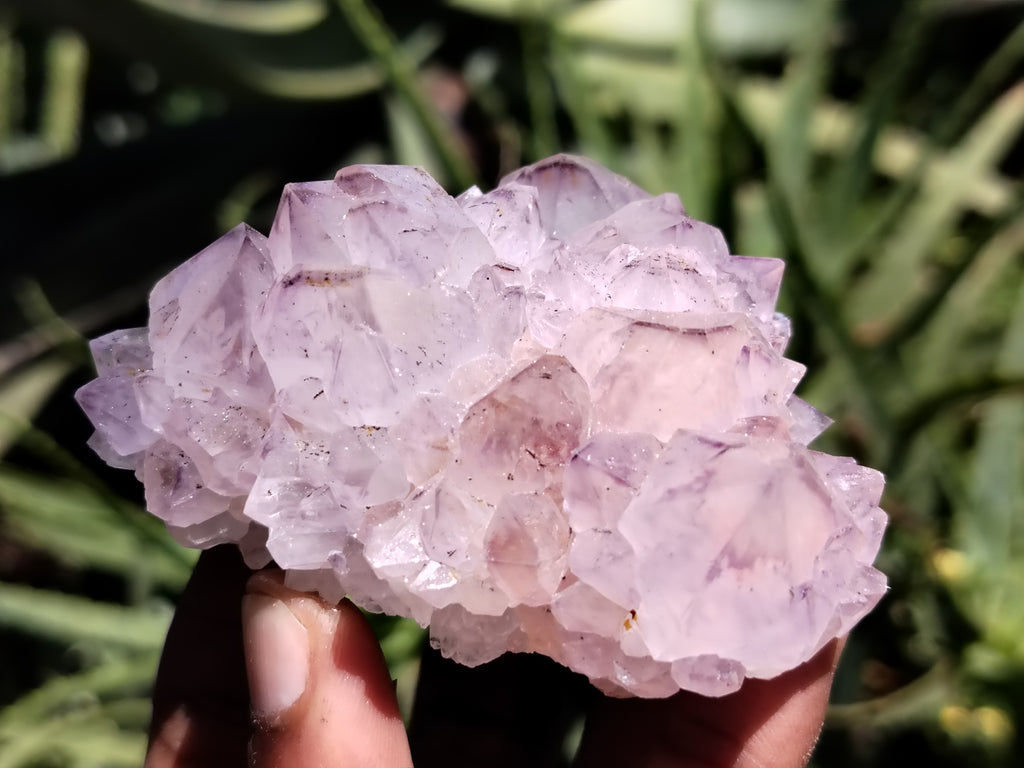 Natural Amethyst Spirit Quartz Clusters x 12 From Boekenhouthoek, South Africa - Toprock Gemstones and Minerals 