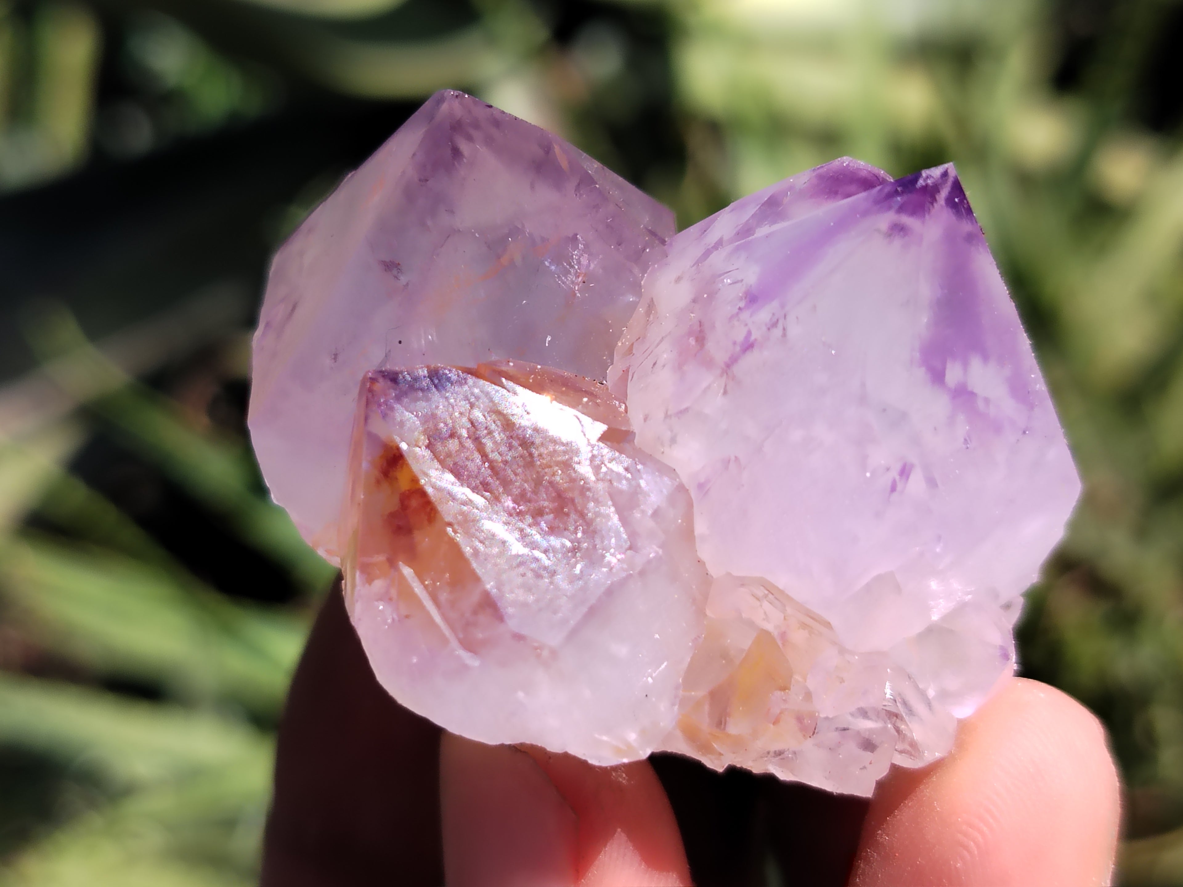 Natural Amethyst Spirit Quartz Clusters x 12 From Boekenhouthoek, South Africa - Toprock Gemstones and Minerals 