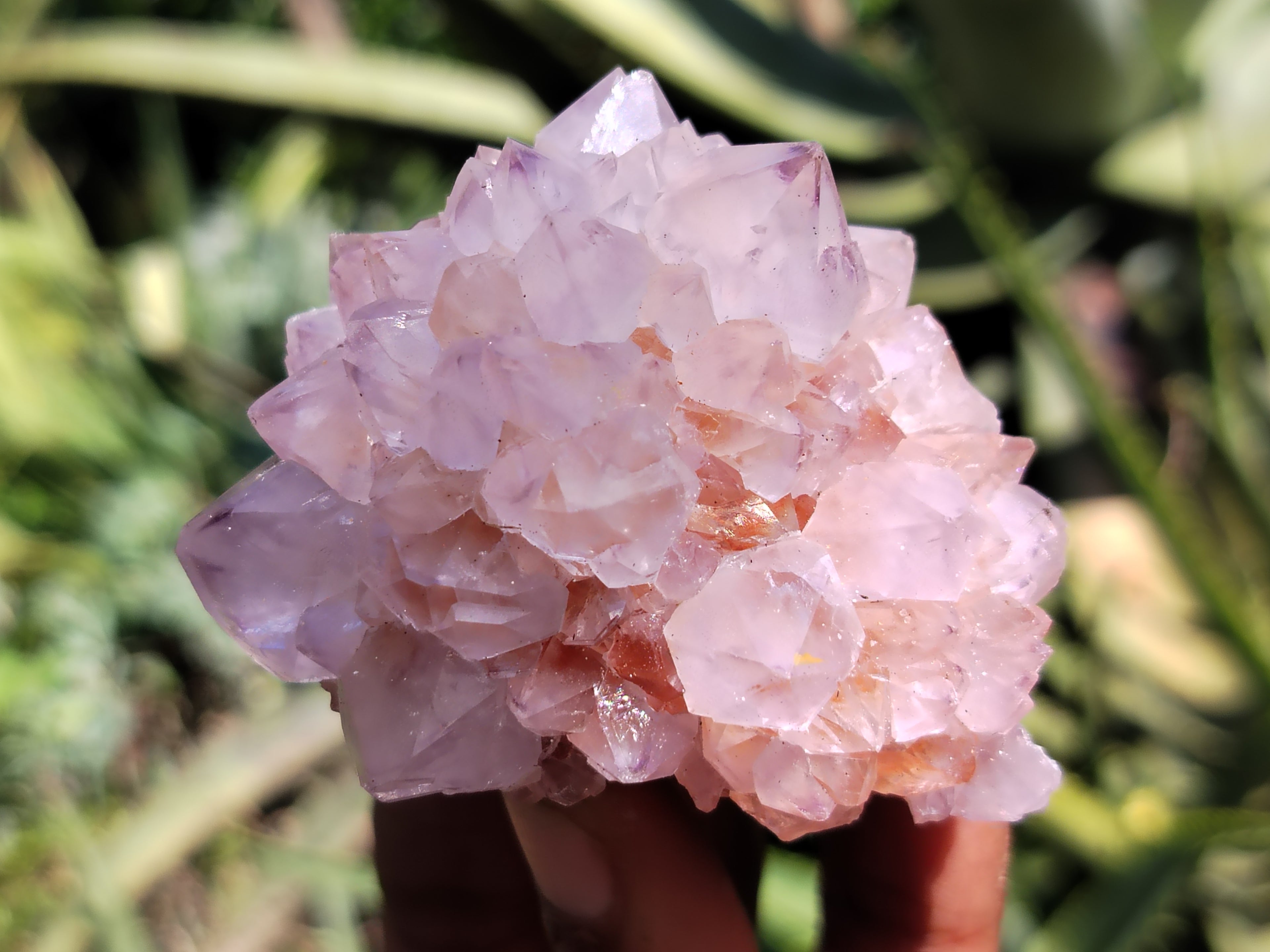 Natural Amethyst Spirit Quartz Clusters x 12 From Boekenhouthoek, South Africa - Toprock Gemstones and Minerals 