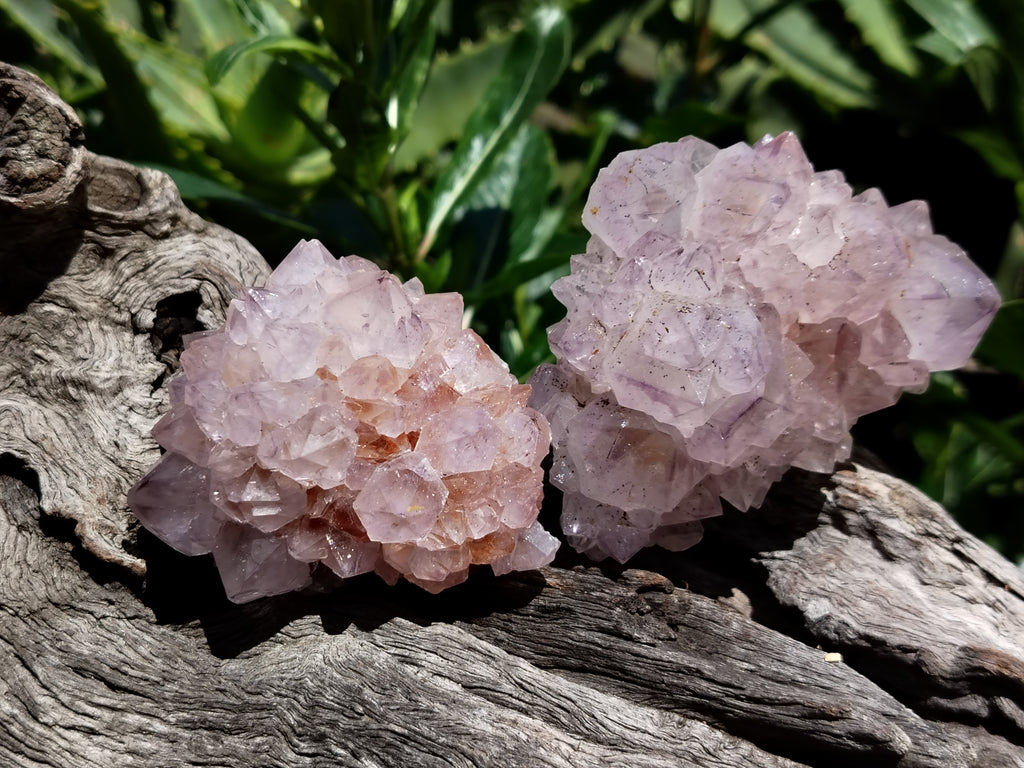 Natural Amethyst Spirit Quartz Clusters x 12 From Boekenhouthoek, South Africa - Toprock Gemstones and Minerals 